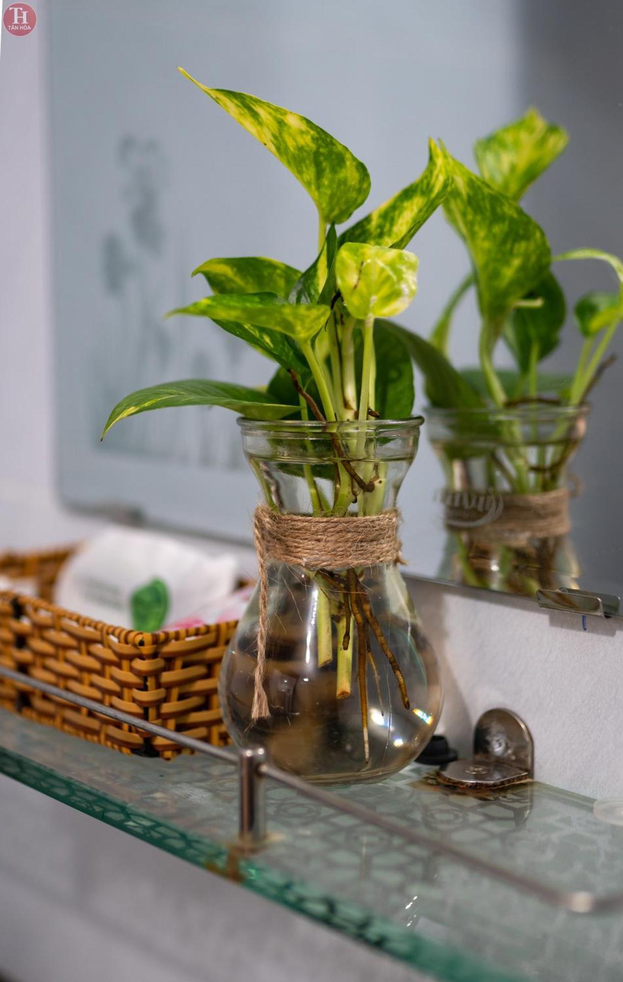 Tan Hoa Homestay Da Nang Dış mekan fotoğraf